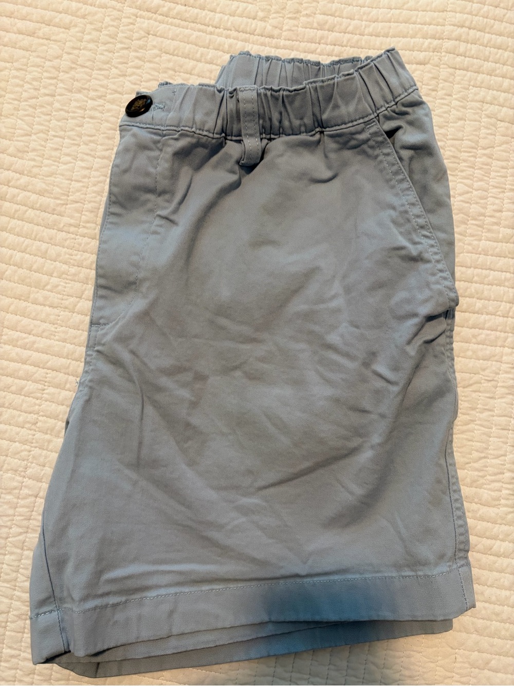 chubbies Light Blue Men's Elastic Waist Shorts